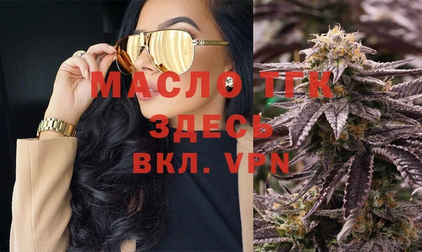 крисы Магас