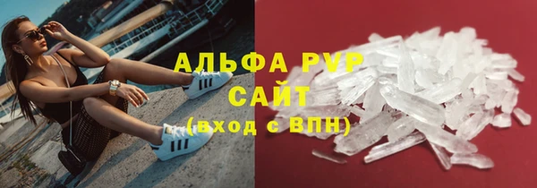 стаф Магадан