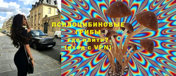 стаф Магадан