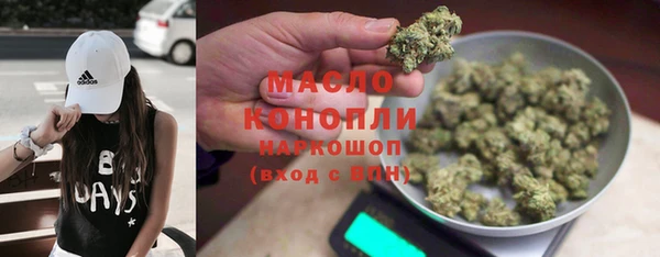 крисы Магас