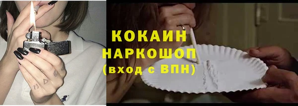 крисы Магас