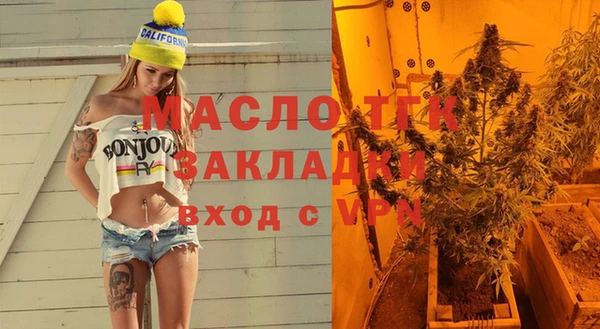 крисы Магас