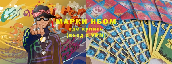 крисы Магас