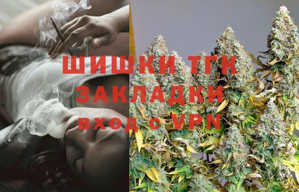 крисы Магас