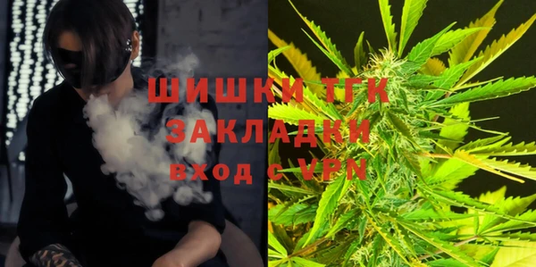 крисы Магас