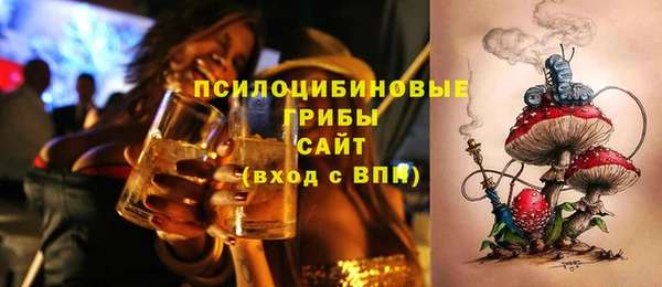 крисы Магас