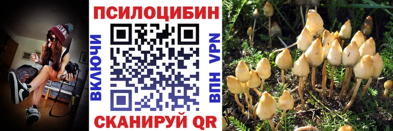 Псилоцибиновые грибы MAGIC MUSHROOMS  Ялуторовск 
