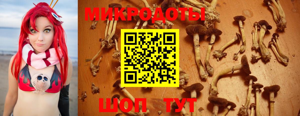 что такое наркотик  Вход с VPN  Псилоцибиновые грибы ЛСД  Ялуторовск  Галлюциногенные грибы Psilocybine cubensis 